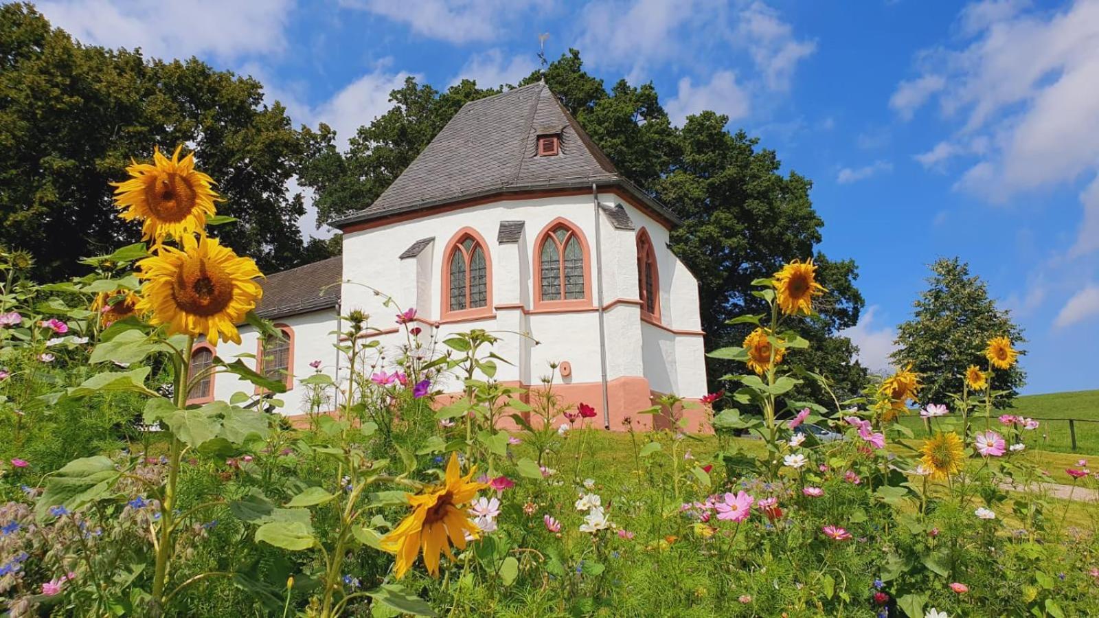 Ferienhaus Deine Zeit Mit Sauna Und Wallbox Nettersheim Ngoại thất bức ảnh